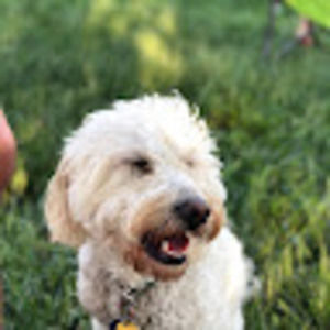 Meet your Posher, Celia